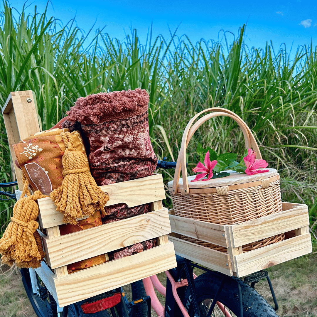 Picnic hire and Ebike hire Northern Rivers Rail Trail