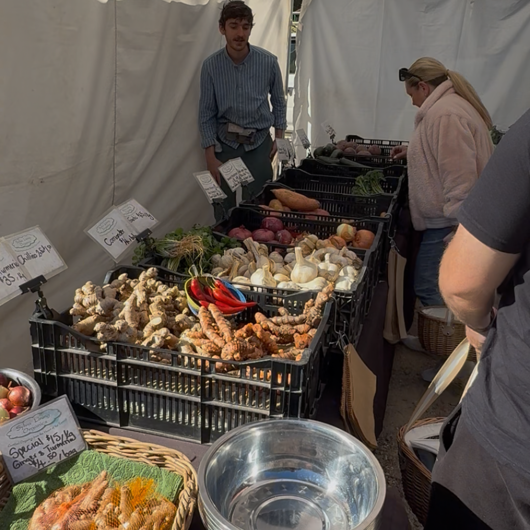 Murwillumbah Farmers Market